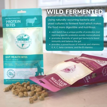 Steve's Real Food Pet Treat Freeze Dried Protein Bites Lamb 4 oz